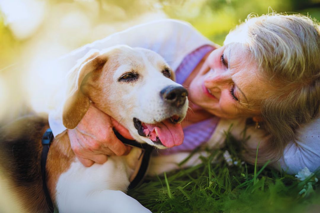 251003035054pet psychic.jpg